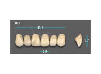VITA - VIONIC EXCELL DD FRAME Anterior, A3, O43 - Teeth - Vionic Frames - # AGA3O43