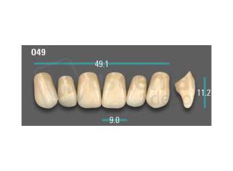VITA - VIONIC EXCELL DD FRAME Anterior, A3, O49 - Teeth - Vionic Frames - # AGA3O49