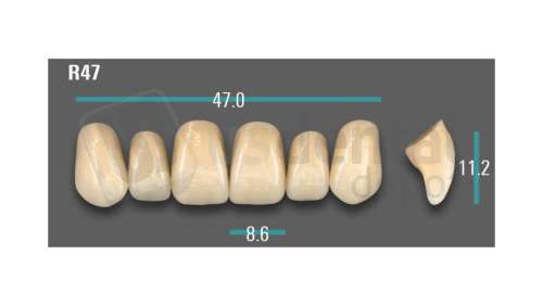 VITA - VIONIC EXCELL DD FRAME Anterior, A3, R47 - Teeth - Vionic Frames - # AGA3R47