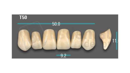 VITA - VIONIC EXCELL DD FRAME Anterior, A3, T50 - Teeth - Vionic Frames - # AGA3T50