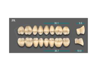 VITA - VIONIC LINGOFORM DD FRAME Posterior, B3, 21L OK                      - Teeth - Vionic Frames - # AGB321LO