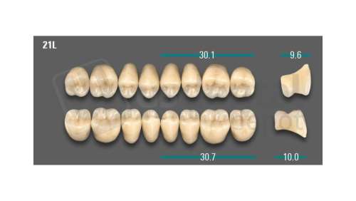 VITA - VIONIC LINGOFORM DD FRAME Posterior, B3, 21L OK                      - Teeth - Vionic Frames - # AGB321LO