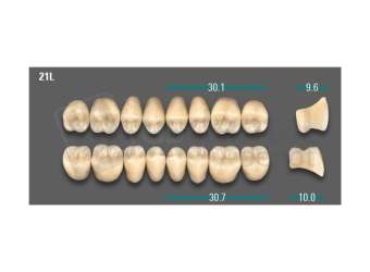 VITA - VIONIC LINGOFORM DD FRAME Posterior, B3, 21L UK                      - Teeth - Vionic Frames - # AGB321LU