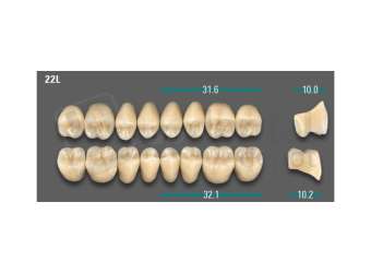 VITA - VIONIC LINGOFORM DD FRAME Posterior, B3, 22L OK                      - Teeth - Vionic Frames - # AGB322LO