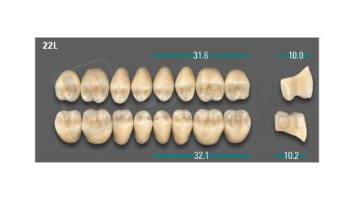 VITA - VIONIC LINGOFORM DD FRAME Posterior, B3, 22L OK                      - Teeth - Vionic Frames - # AGB322LO