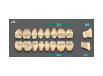 VITA - VIONIC LINGOFORM DD FRAME Posterior, B3, 22L UK                      - Teeth - Vionic Frames - # AGB322LU