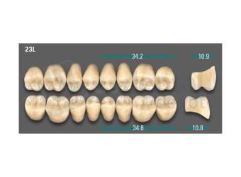 VITA - VIONIC LINGOFORM DD FRAME Posterior, B3, 23L OK                      - Teeth - Vionic Frames - # AGB323LO