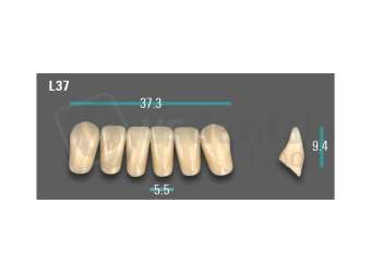 VITA - VIONIC EXCELL DD FRAME Anterior, B3, L37 - Teeth - Vionic Frames - # AGB3L37
