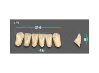 VITA - VIONIC EXCELL DD FRAME Anterior, B3, L39 - Teeth - Vionic Frames - # AGB3L39