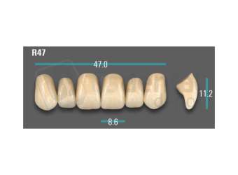 VITA - VIONIC EXCELL DD FRAME Anterior, B3, R47 - Teeth - Vionic Frames - # AGB3R47