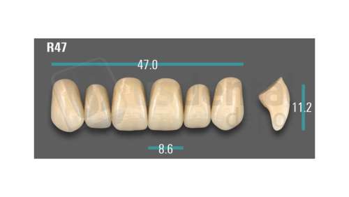 VITA - VIONIC EXCELL DD FRAME Anterior, B3, R47 - Teeth - Vionic Frames - # AGB3R47