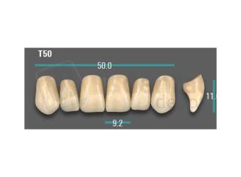 VITA - VIONIC EXCELL DD FRAME Anterior, B3, T50 - Teeth - Vionic Frames - # AGB3T50