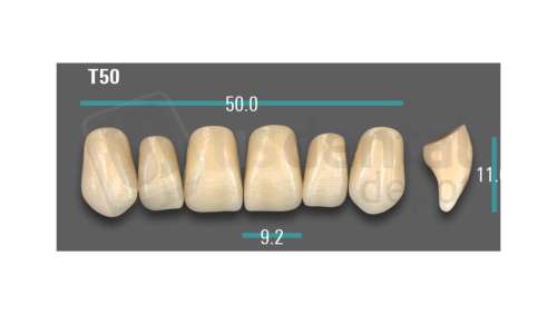 VITA - VIONIC EXCELL DD FRAME Anterior, B3, T50 - Teeth - Vionic Frames - # AGB3T50
