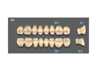 VITA - VIONIC LINGOFORM DD FRAME Posterior, D3, 21L OK                      - Teeth - Vionic Frames - # AGD321LO