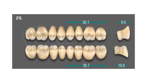VITA - VIONIC LINGOFORM DD FRAME Posterior, D3, 21L OK                      - Teeth - Vionic Frames - # AGD321LO