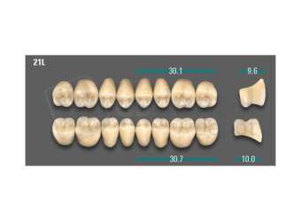 VITA - VIONIC LINGOFORM DD FRAME Posterior, D3, 21L UK                      - Teeth - Vionic Frames - # AGD321LU