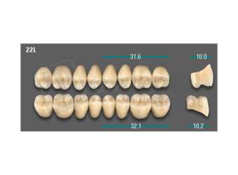 VITA - VIONIC LINGOFORM DD FRAME Posterior, D3, 22L OK                      - Teeth - Vionic Frames - # AGD322LO