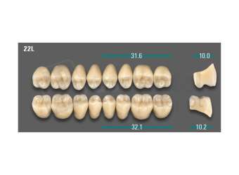 VITA - VIONIC LINGOFORM DD FRAME Posterior, D3, 22L UK                      - Teeth - Vionic Frames - # AGD322LU