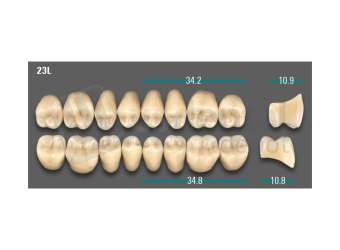 VITA - VIONIC LINGOFORM DD FRAME Posterior, D3, 23L OK                      - Teeth - Vionic Frames - # AGD323LO