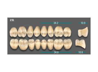 VITA - VIONIC LINGOFORM DD FRAME Posterior, D3, 23L UK                      - Teeth - Vionic Frames - # AGD323LU