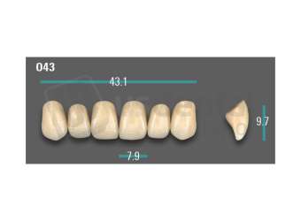 VITA - VIONIC EXCELL DD FRAME Anterior, D3, O43 - Teeth - Vionic Frames - # AGD3O43