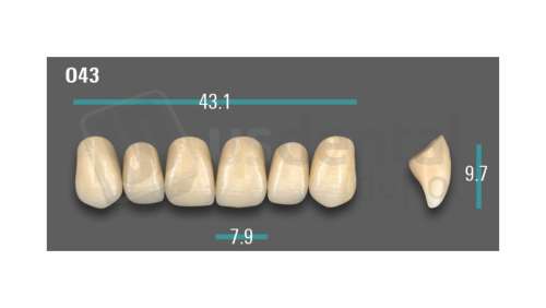 VITA - VIONIC EXCELL DD FRAME Anterior, D3, O43 - Teeth - Vionic Frames - # AGD3O43