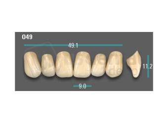 VITA - VIONIC EXCELL DD FRAME Anterior, D3, O49 - Teeth - Vionic Frames - # AGD3O49