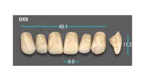 VITA - VIONIC EXCELL DD FRAME Anterior, D3, O49 - Teeth - Vionic Frames - # AGD3O49