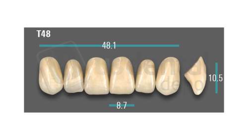 VITA - VIONIC EXCELL DD FRAME Anterior, D3, T48 - Teeth - Vionic Frames - # AGD3T48