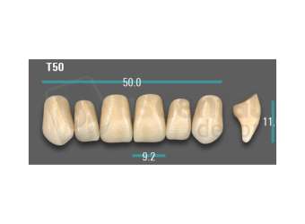VITA - VIONIC EXCELL DD FRAME Anterior, D3, T50 - Teeth - Vionic Frames - # AGD3T50