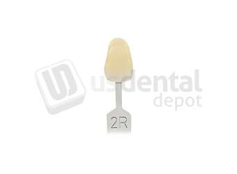 VITA - VITA Toothguide 3D-MASTER Shade Group 2R - Shade Products - Replacement Tab - # G2602R