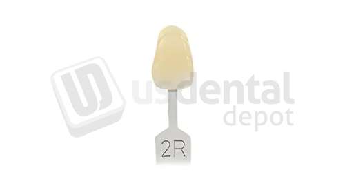 VITA - VITA Toothguide 3D-MASTER Shade Group 2R - Shade Products - Replacement Tab - # G2602R