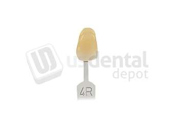 VITA - VITA Toothguide 3D-MASTER Shade Group 4R - Shade Products - Replacement Tab - # G2604R