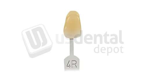 VITA - VITA Toothguide 3D-MASTER Shade Group 4R - Shade Products - Replacement Tab - # G2604R