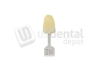 VITA - VITA Toothguide 3D-MASTER Shade Group 2M - Shade Products - Replacement Tab - # G2602M