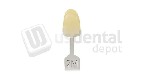 VITA - VITA Toothguide 3D-MASTER Shade Group 2M - Shade Products - Replacement Tab - # G2602M