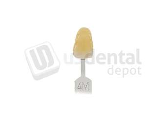 VITA - VITA Toothguide 3D-MASTER Shade Group 4M - Shade Products - Replacement Tab - # G2604M