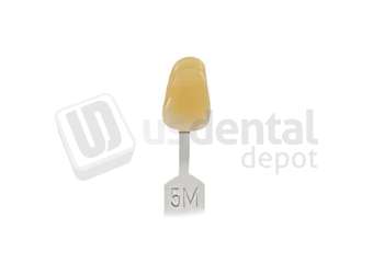 VITA - VITA Toothguide 3D-MASTER Shade Group 5M - Shade Products - Replacement Tab - # G2605M