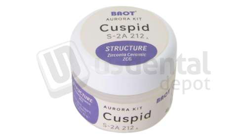 MIIYEN - AURORA - Structure Cuspid ( Structure Ghost ) 4g Zirconia Coloring Stain - # Cuspid
