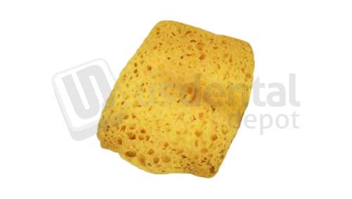 BESQUAL - Pop-Up Sponge Only for Brushmate - # 295-125