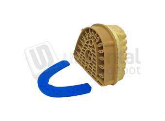 BESQUAL - Silicone SBase End Cap Protector - Full Arch Lower - # 536-602