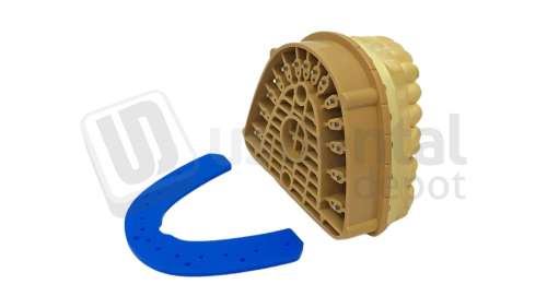 BESQUAL - Silicone SBase End Cap Protector - Full Arch Lower - # 536-602