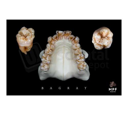 MPF Brush - Ceramic Table Mat (Bagrat) - # 110-0001