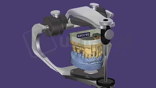 EXOCAD - Virtual Articulator Module. Flex Annual plan initial fee for year one. exocad dental CAD software license, delivered electronically, no physical shipment. USDD item 701001F-Y1. - # 701001F-Y1