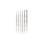 RENFERT -  Kolinsky Brushes (6px )-Set kiT - Natural bristle brush made from Kolinsky RED sable bristles- #1713-1000 #17131000