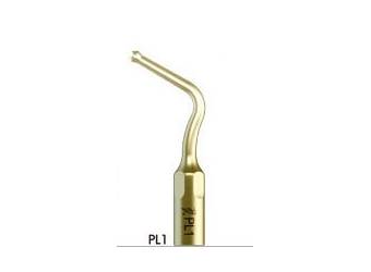 PL1