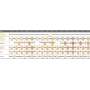 CERAMAGE Cervical CC2 - 2.6ml / 4.6g Syringe - #1886