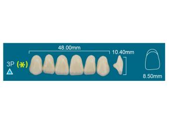 UPPER ANTERIOR 3P