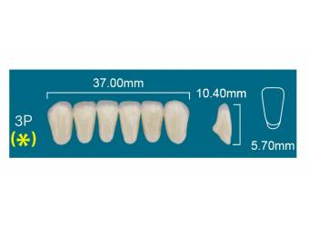 LOWER ANTERIOR 3P