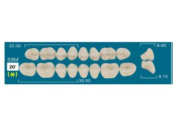 UP POSTERIOR 33M (20&ordm;)